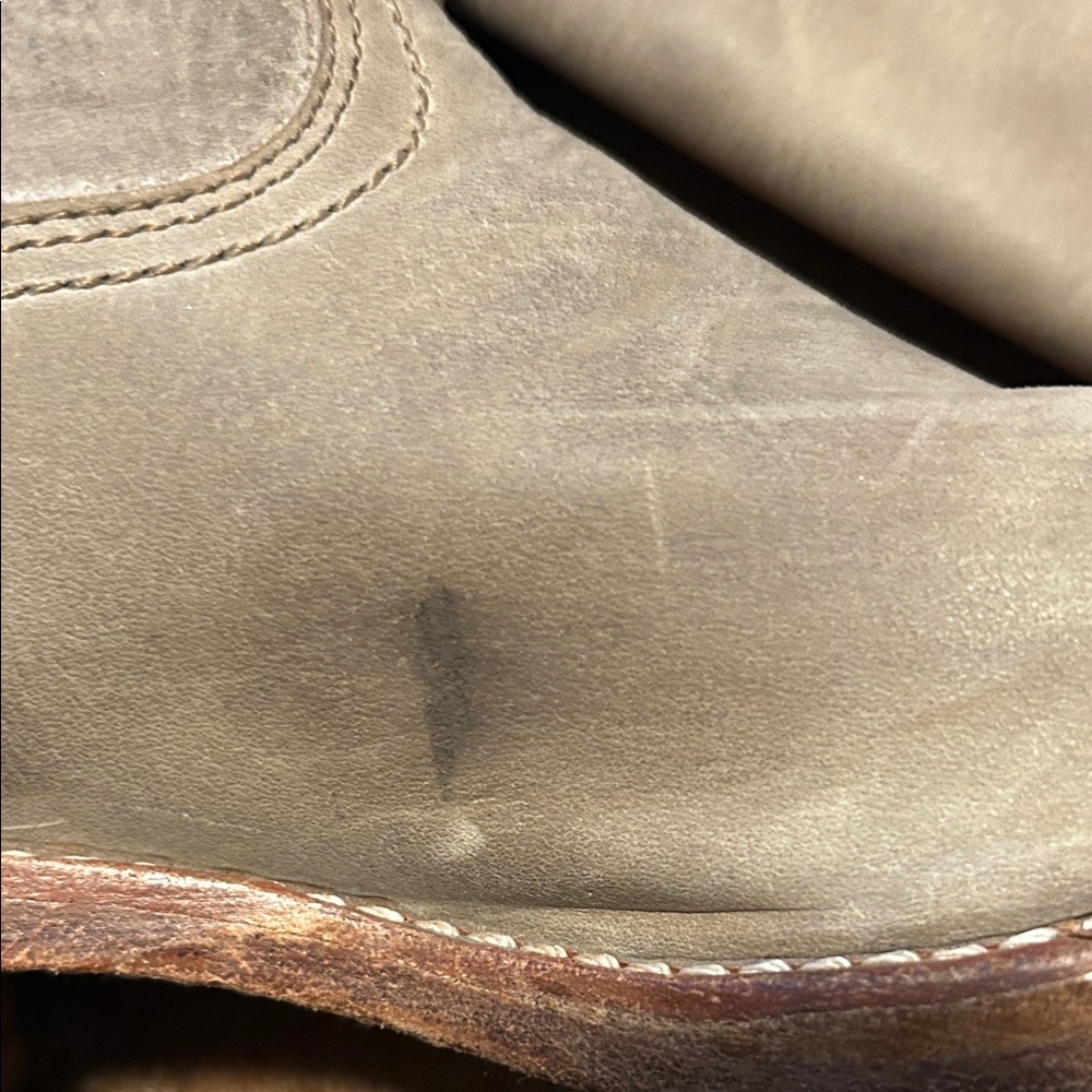 Frye CAMPUS Tall Boot / rare leather & color - Picture 15 of 16